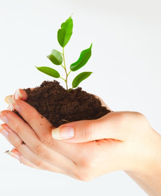 Curso de Especialização em Gestão Ambiental – São Carlos – SP