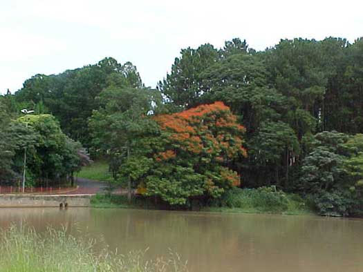 Beira do Rio